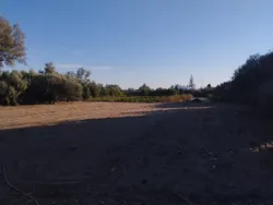 Terrain à Vendre -plage Tazarka-