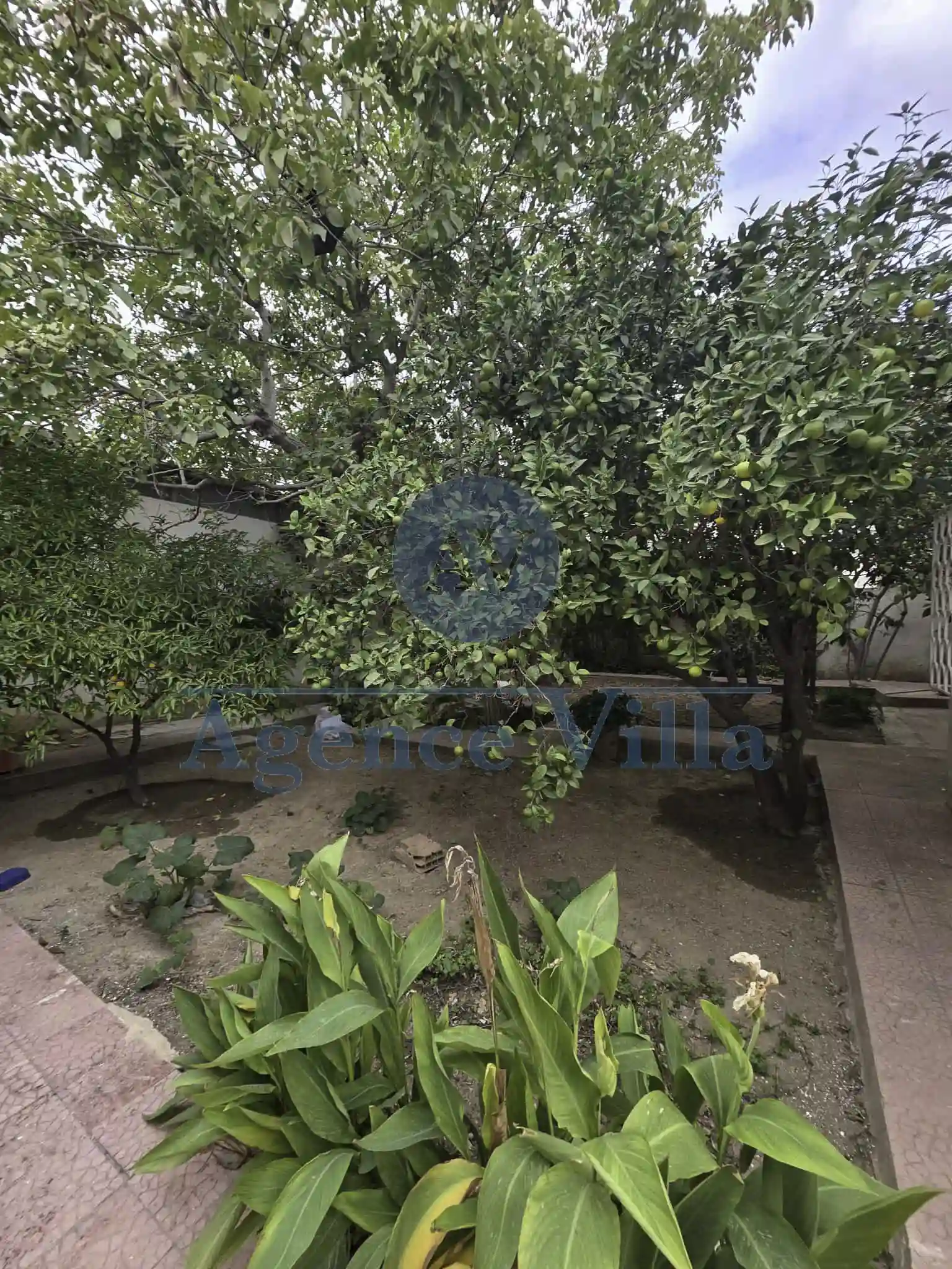 Une Villa sur Deux Niveaux à la Marsa à Marsa Safsaf - Vue 2