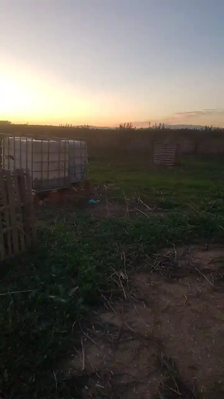 Terrain Agricole à Vendre - Vue 2