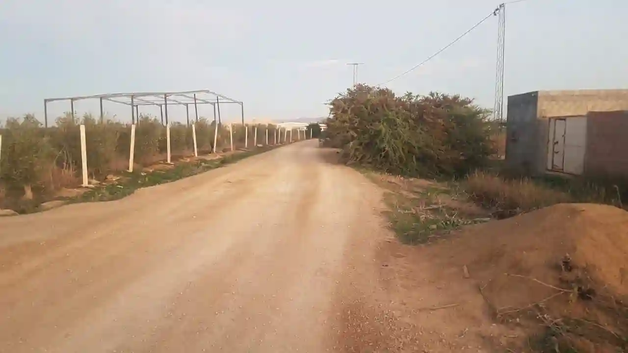 Terrain Agricole à Vendre - Vue 3