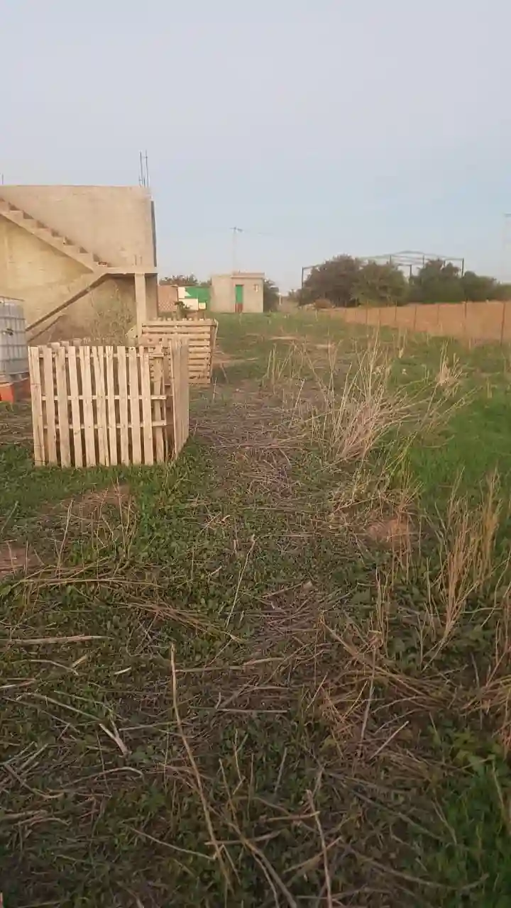 Terrain Agricole à Vendre - Vue 5