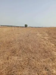 Av 7 Hectares Route Hammamet Zaghouan