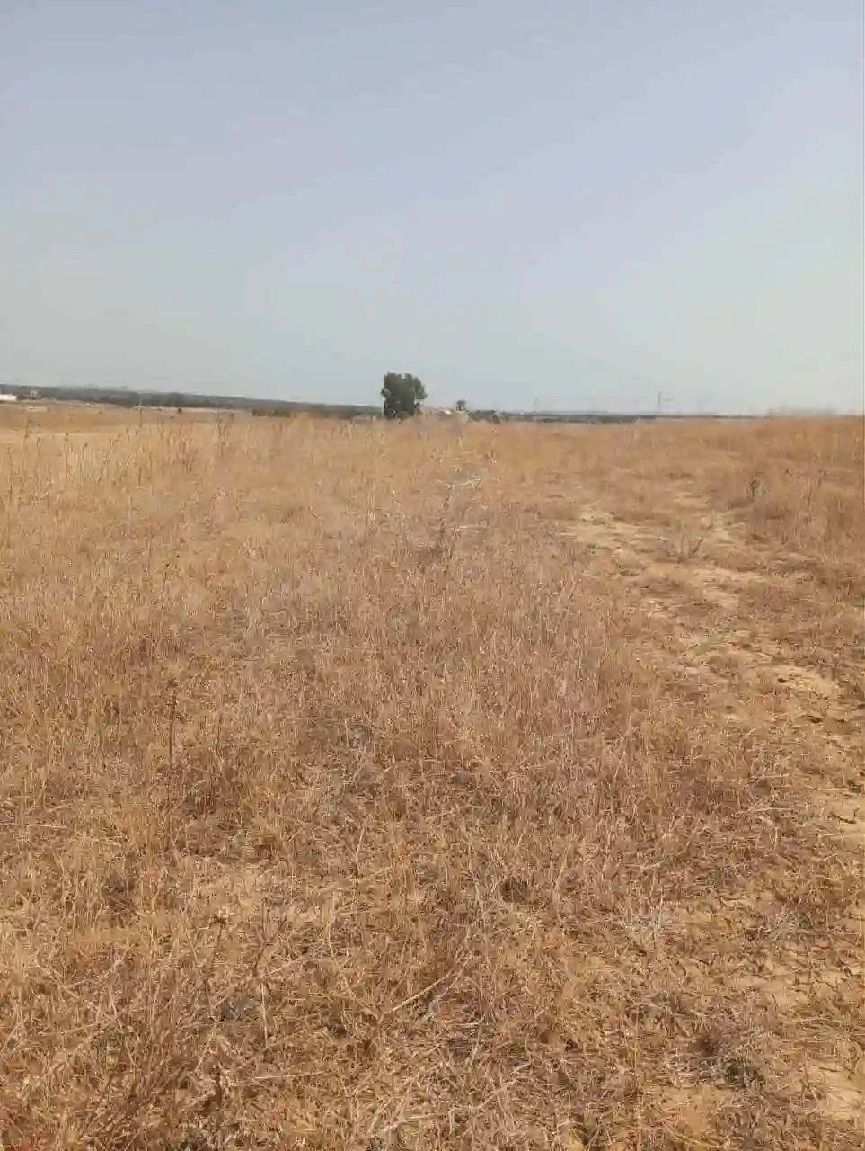 Av 7 Hectares Route Hammamet Zaghouan