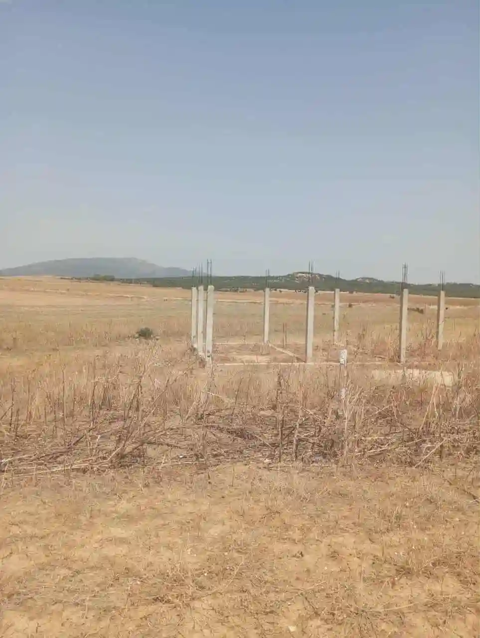 Av 7 Hectares Route Hammamet Zaghouan - Vue 2