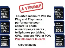 Cartes Memoire 256go à Gafsa Sud