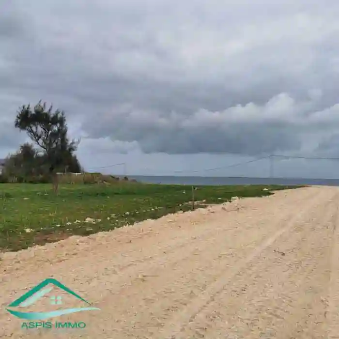 Vt783 des Terrains à Plage dar Allouche à Dar Allouche - Vue 4
