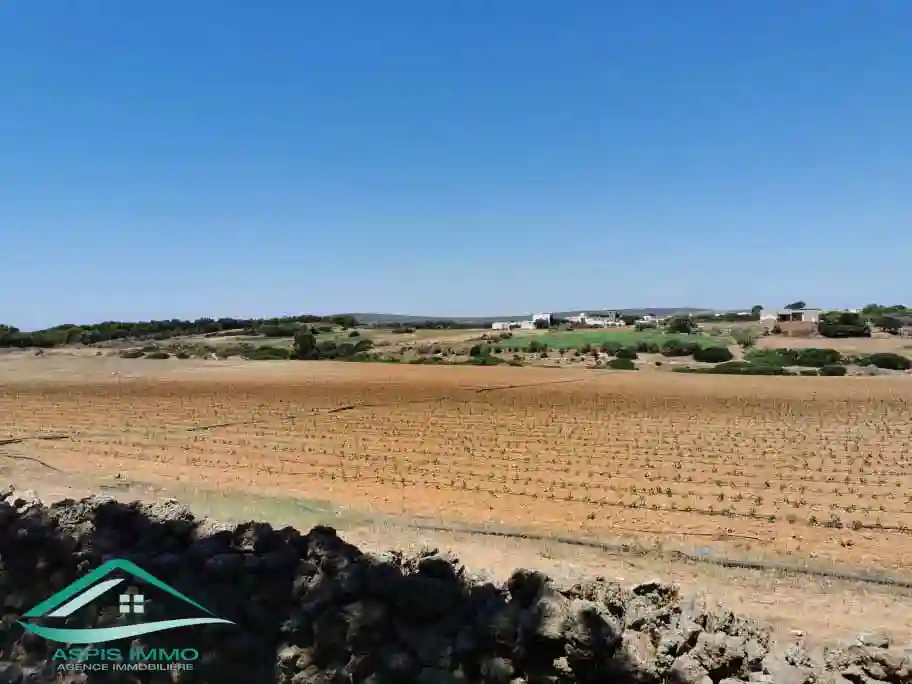 Vt809 Terrain Agricole à Sidi Daoued Hawaria à Sidi Daoud - Vue 1
