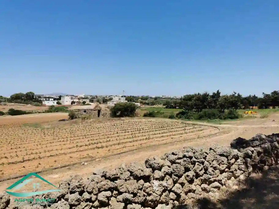 Vt809 Terrain Agricole à Sidi Daoued Hawaria à Sidi Daoud - Vue 3