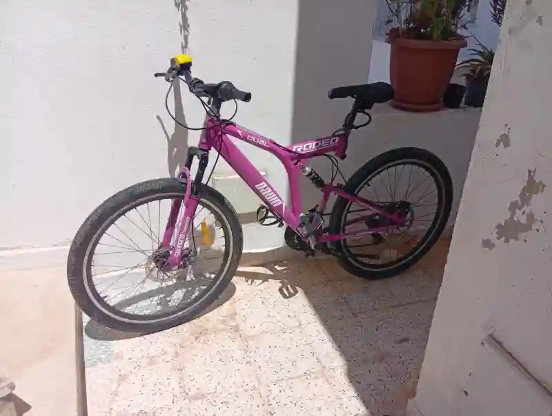 Vélo VTT Rodeo Black Down - Vue 2