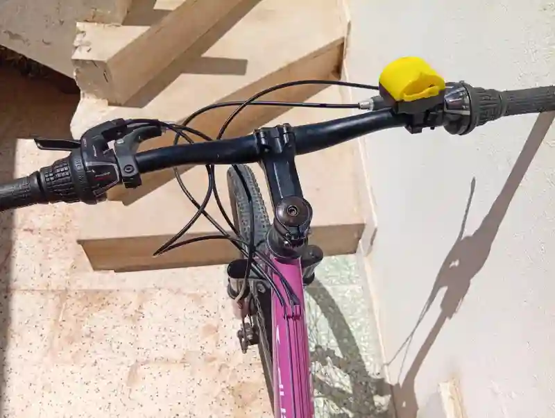 Vélo VTT Rodeo Black Down - Vue 5