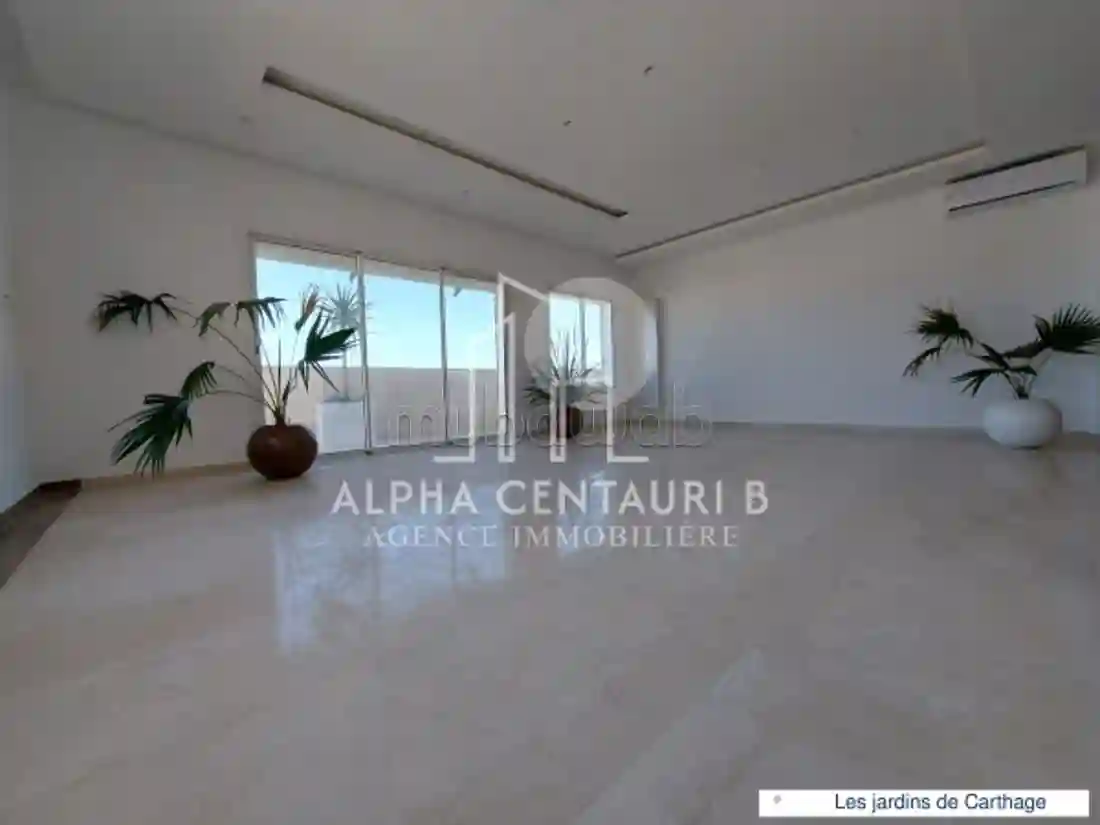 A Vendre un Penthouse en S3 aux Jardins de Carthage - Vue 1
