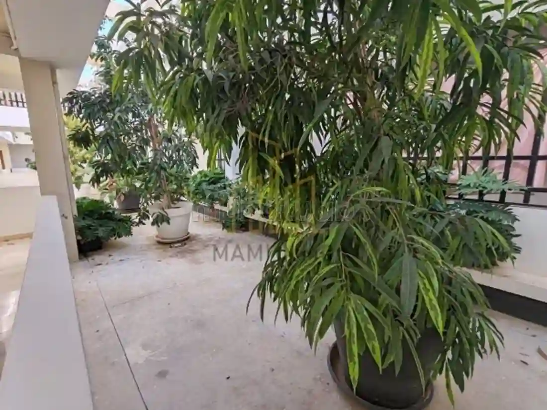 Location Appartement s2 à Chotrana 1