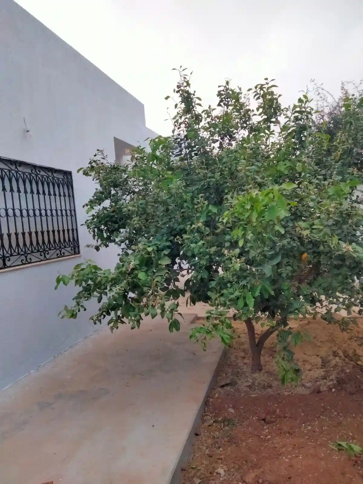 Superbe Villa à Borj Touil à Borj Touil - Vue 2