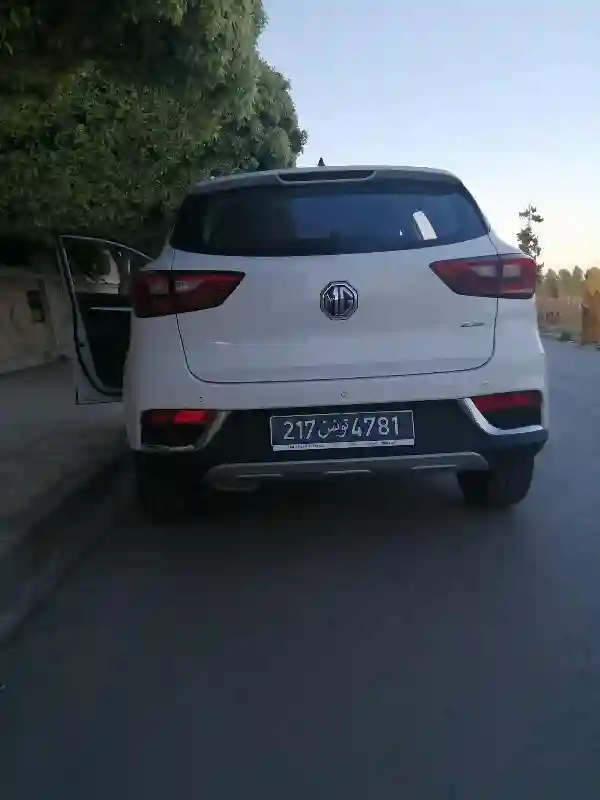 MG Zs Essence 2020 - Vue 3