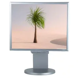 Ecran de Ordinateur Bureau nec à Sahline