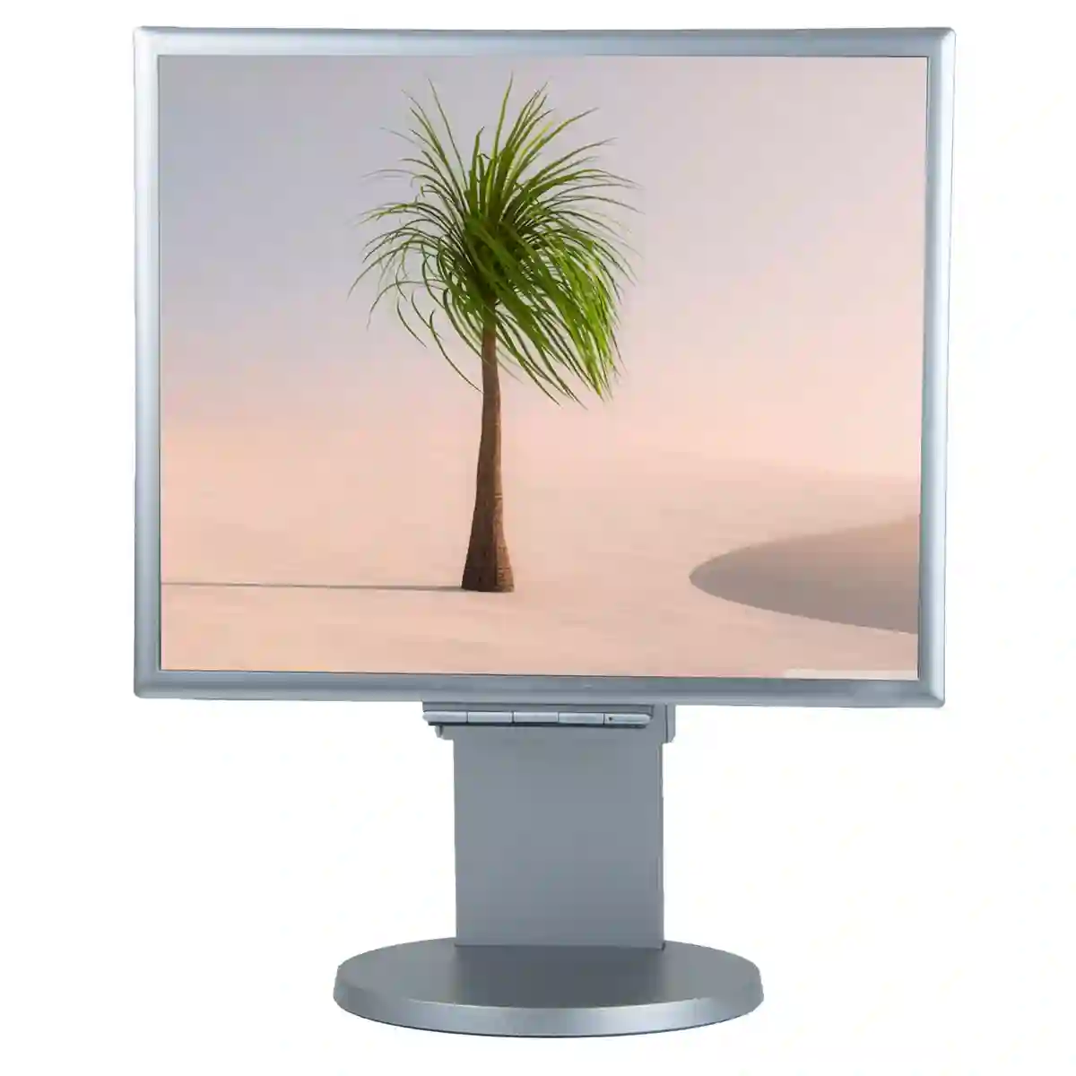 Ecran de Ordinateur Bureau nec à Sahline