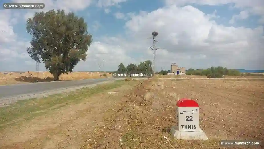 Terrain Constructible sur GP5 Borj Amri Sonede et