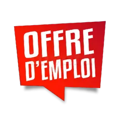 Offre D'emploi