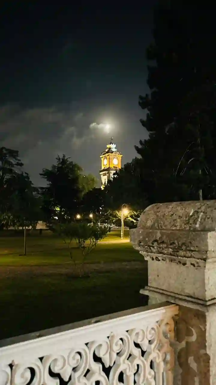 Prof Donne des Cours en Informatique à Hammam Chatt