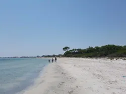 Un Terrain Pour Meilleur Investissement