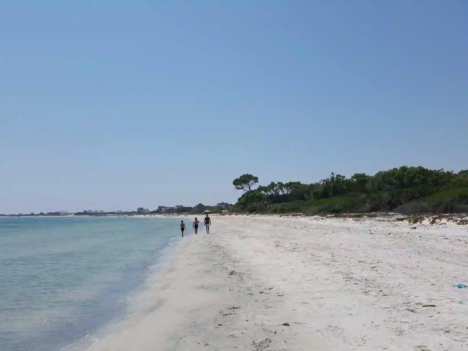 Un Terrain Pour Meilleur Investissement