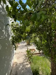 Magnifique Villa Sidi Salem Bizerte à Bizerte