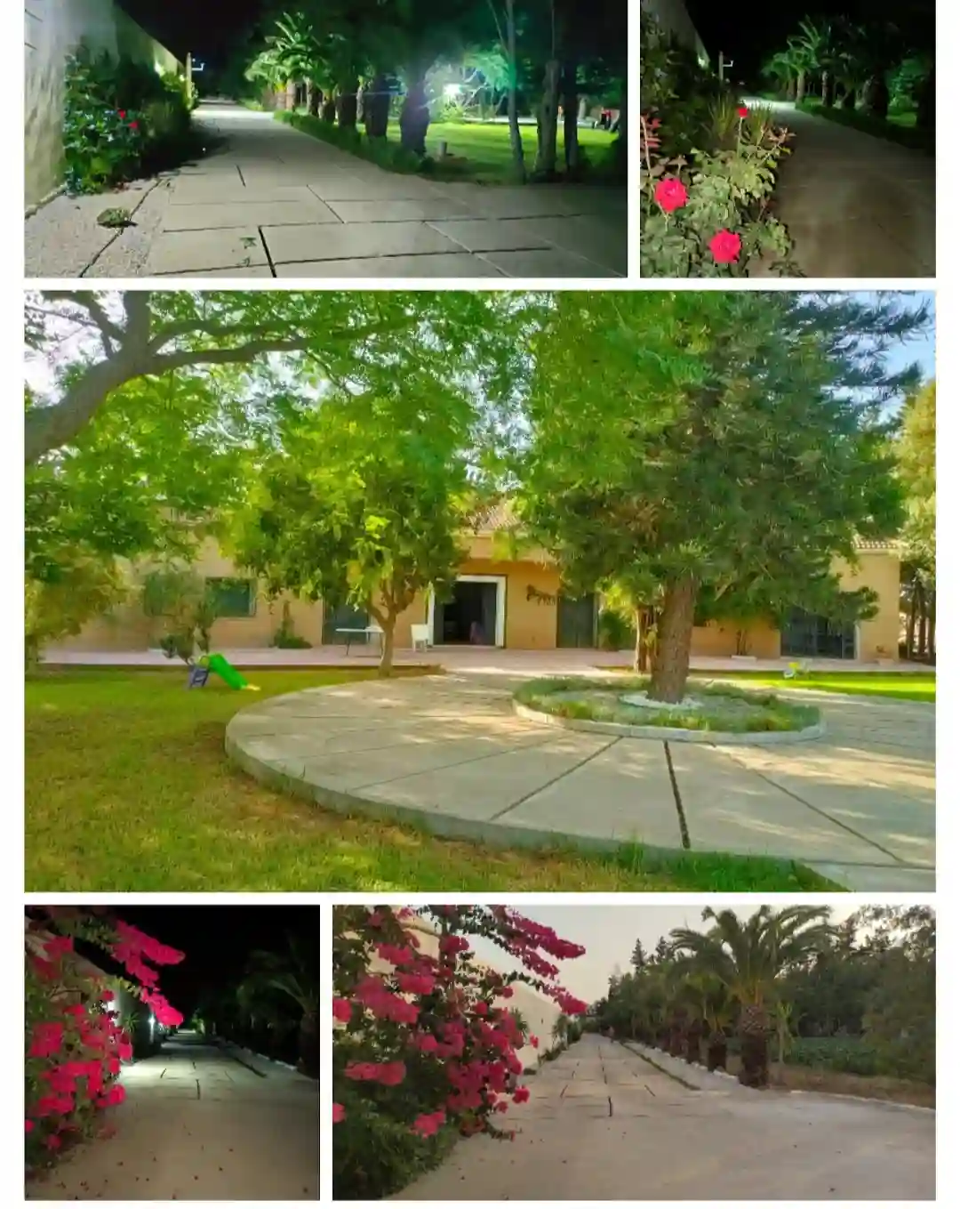 Ferme de Charme à El Marja