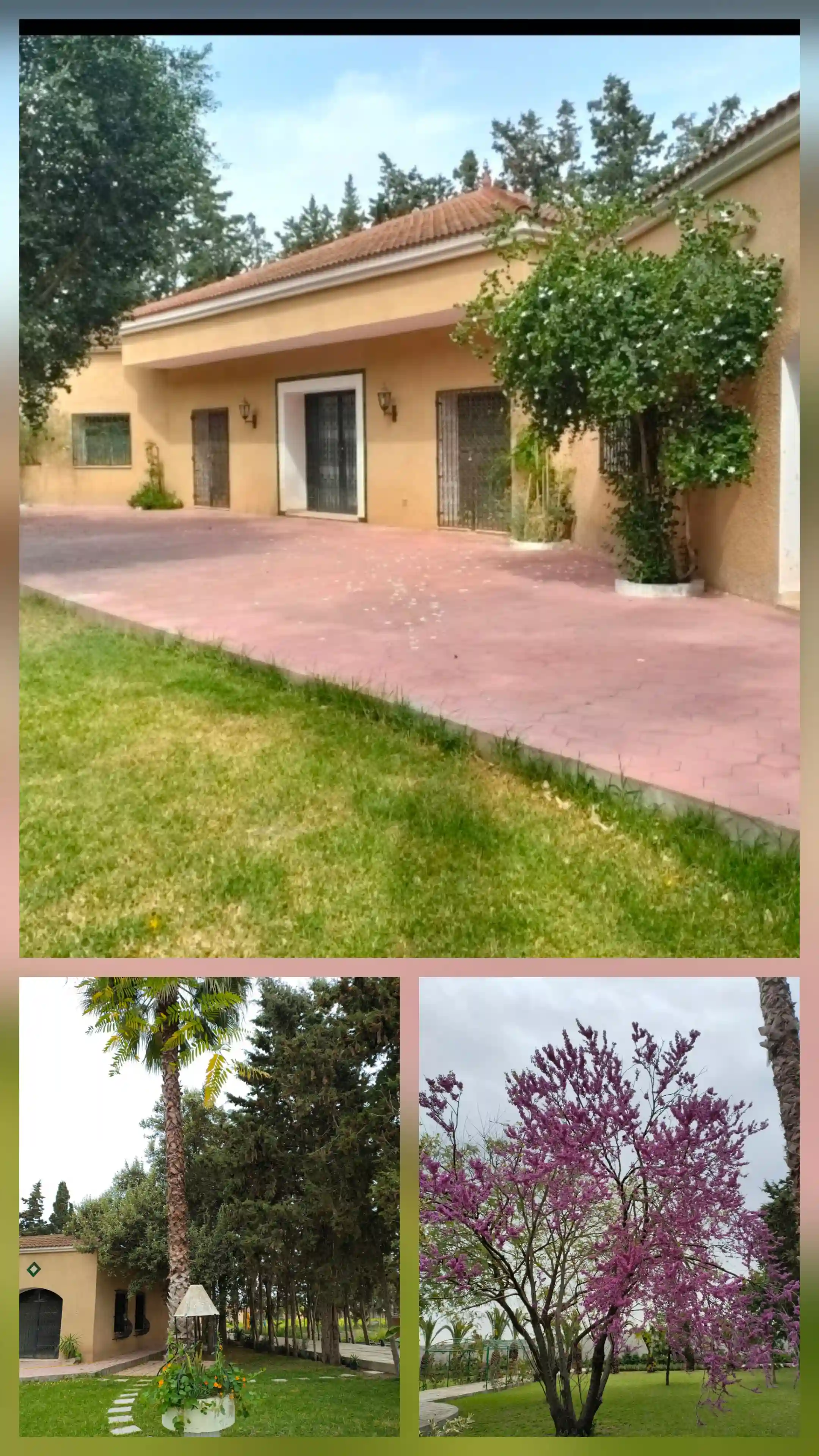 Ferme de Charme à El Marja - Vue 1