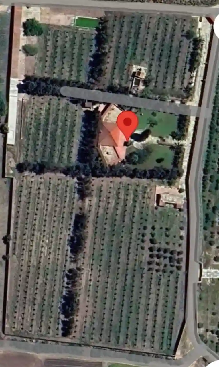 Ferme de Charme à El Marja - Vue 2