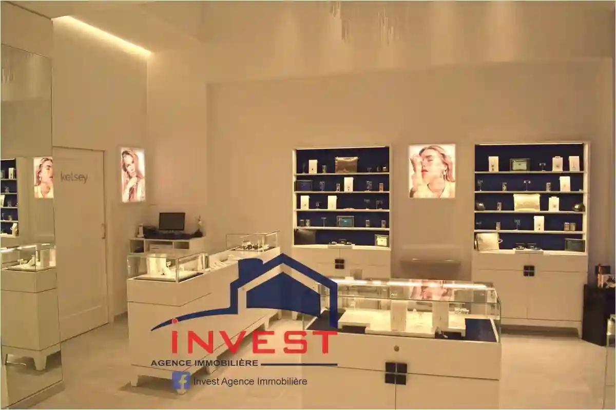 Local Commercial lac - Vue 1