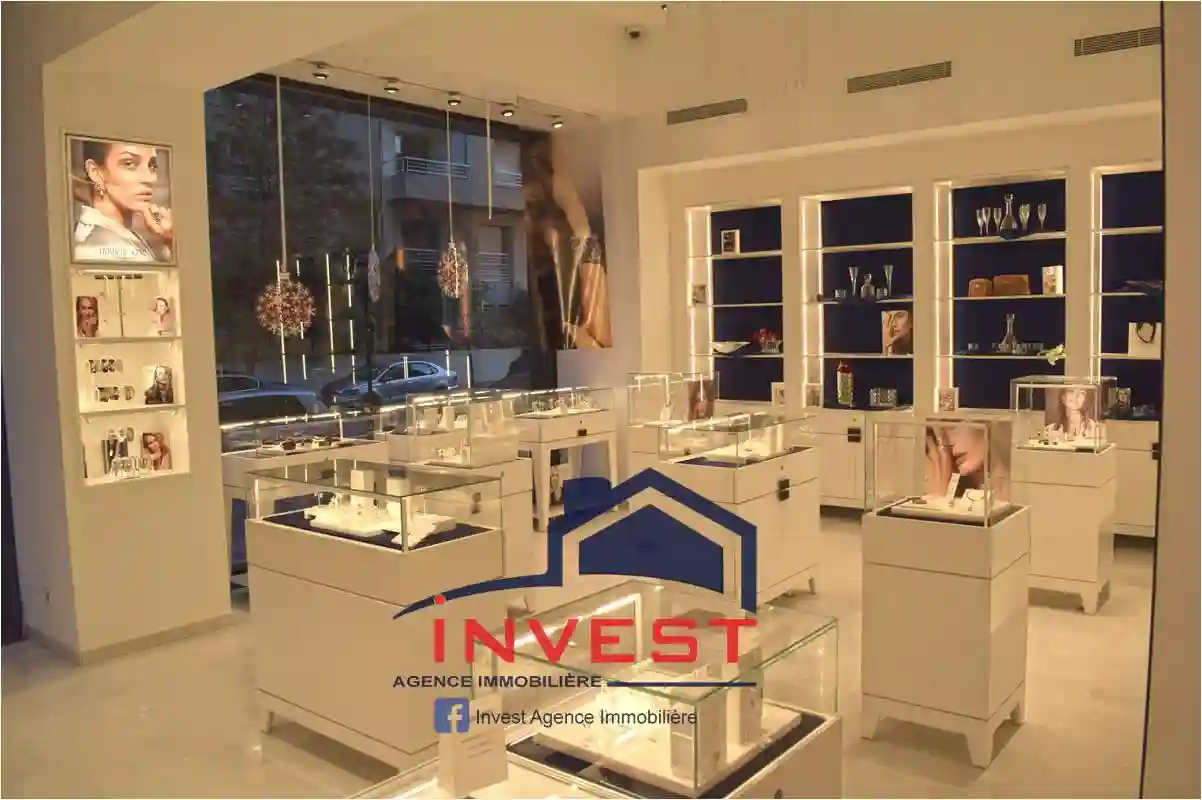 Local Commercial lac - Vue 3