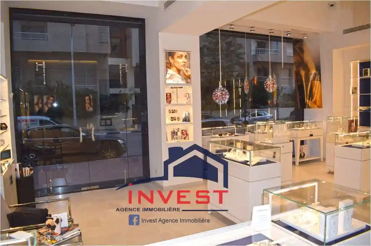 Local Commercial lac - Vue 4