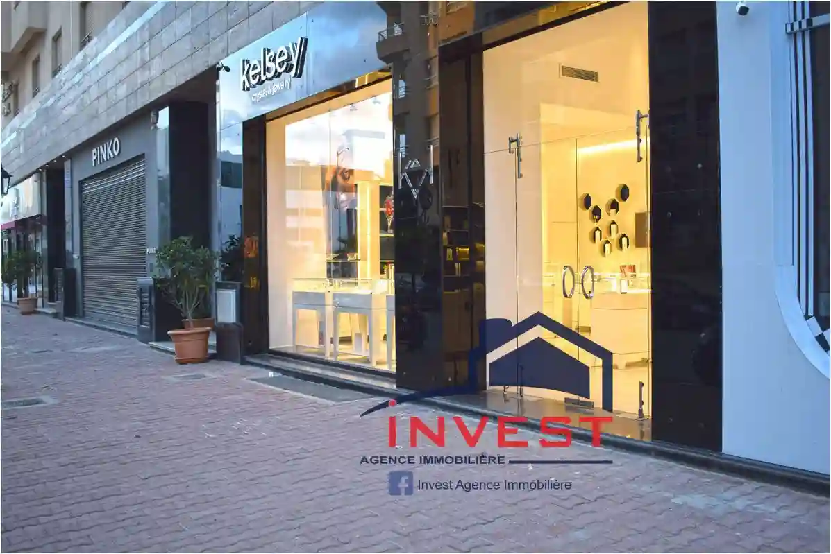 Local Commercial lac - Vue 5