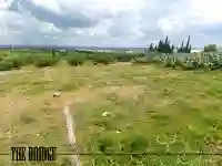 1000 m² vue sur les Vergers de Bou Argoub