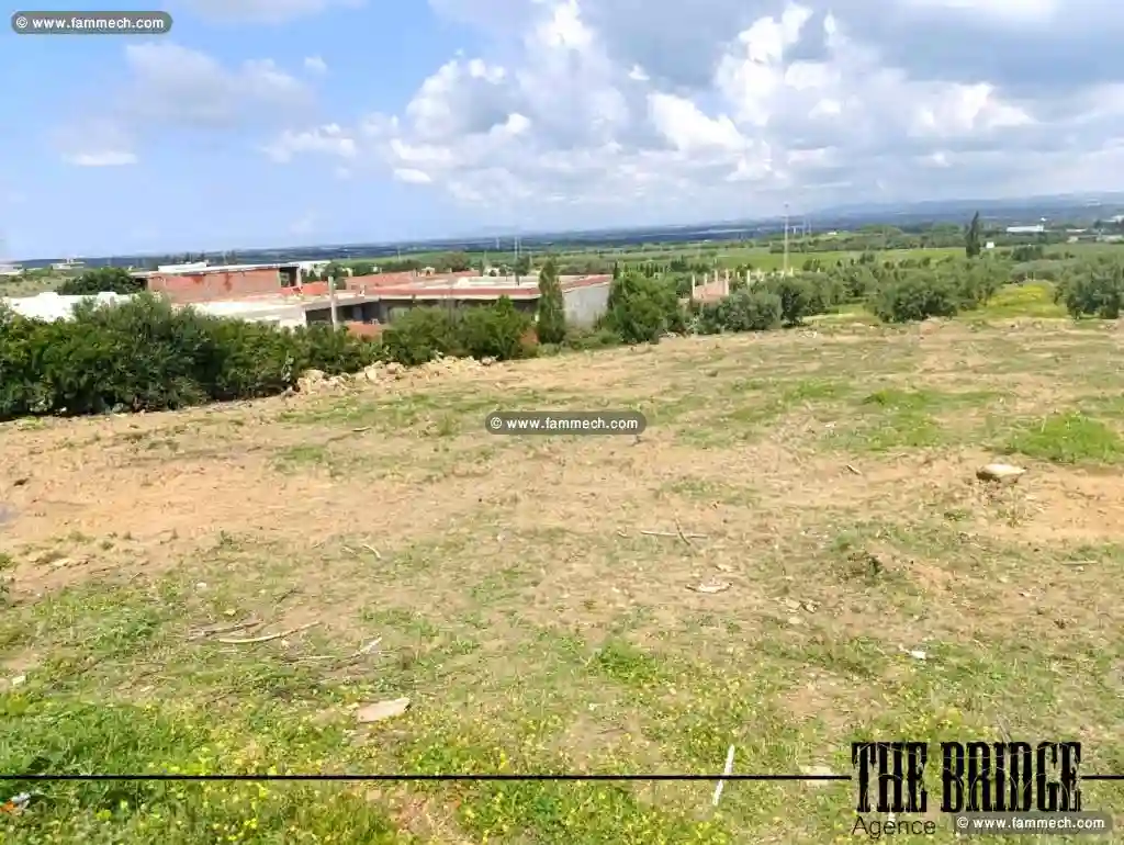 1000 m² vue sur les Vergers de Bou Argoub - Vue 2