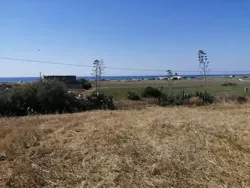 Terrain Ferme à Sidi Jameleddine