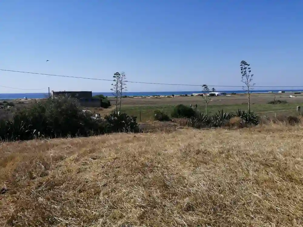 Terrain Ferme à Sidi Jameleddine