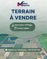 À Vendre – 4 Lots DE Terrain À Hammam LIF Plage