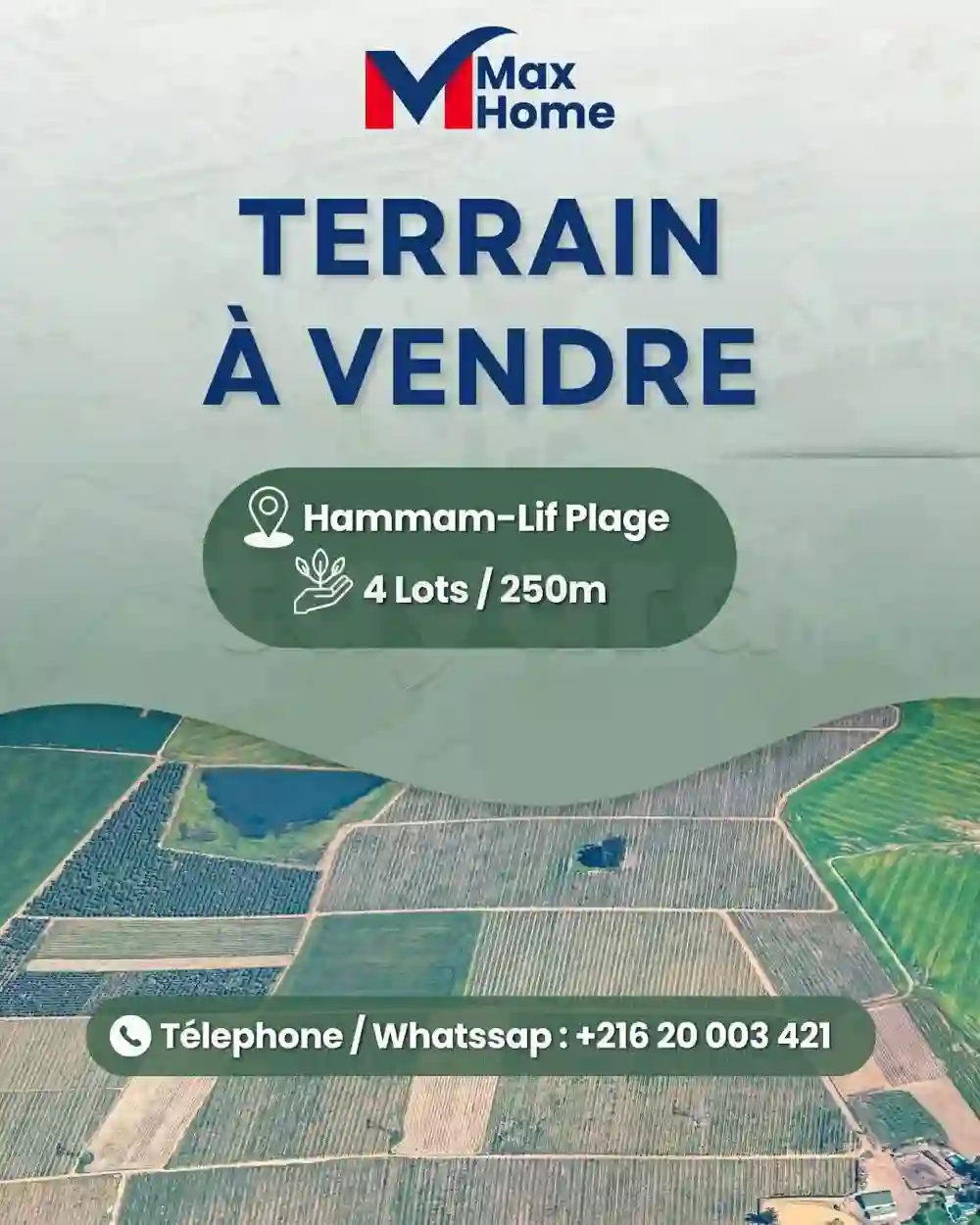À Vendre – 4 Lots DE Terrain À Hammam LIF Plage
