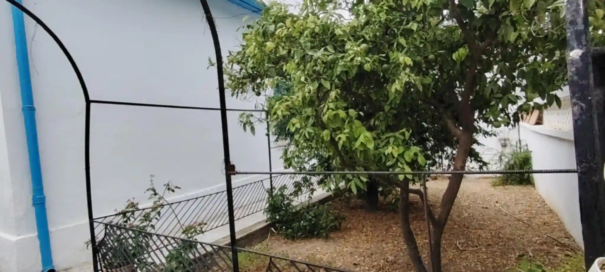 Terrain Avec Villa et Studio Indépendant à Ben Arous - Vue 2