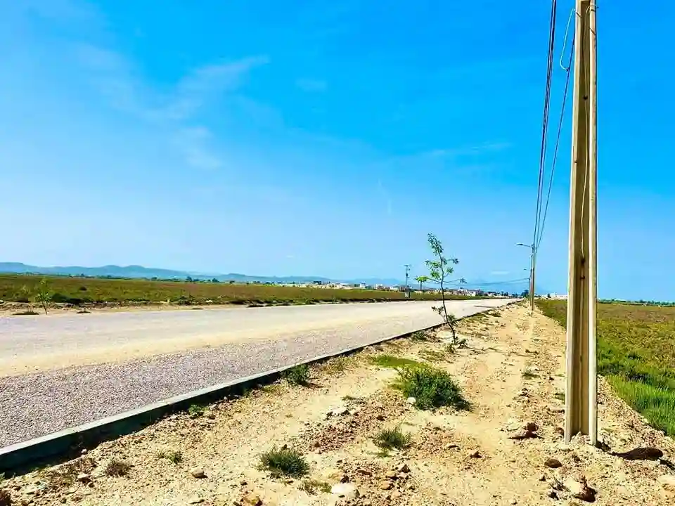 Terrain Prix Raisonnable à Bou Ficha - Vue 1