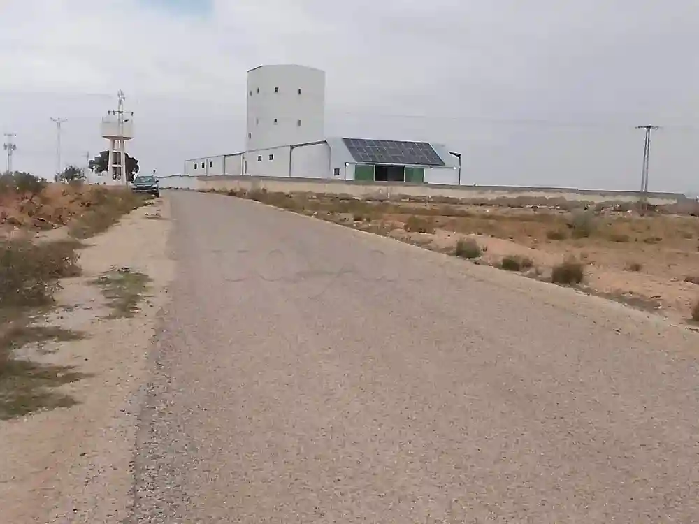 Terrain Pour Huilerie ou Dépôt a Sfax - Vue 5