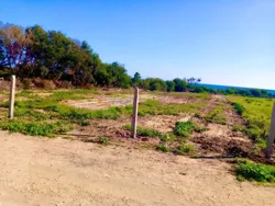 Terrain de Rêve à Kerkouane à Kelibia