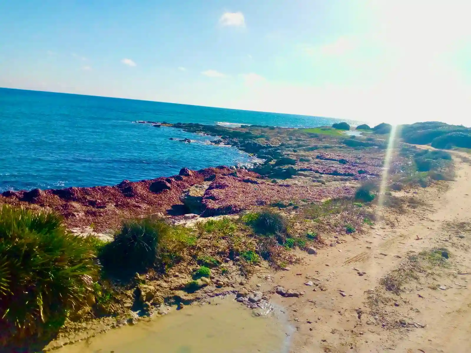 Terrain de Rêve à Kerkouane à Kelibia - Vue 1