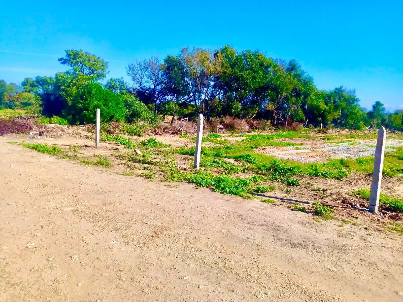 Terrain de Rêve à Kerkouane à Kelibia - Vue 2