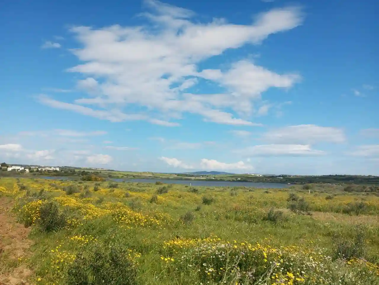 Av 2500m à Hammamet sud à Hammamet - Vue 1