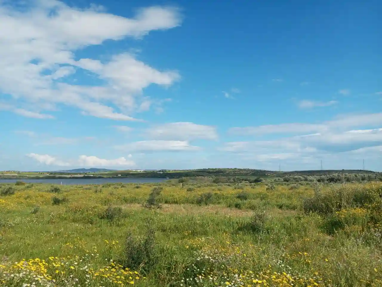 Av 2500m à Hammamet sud à Hammamet - Vue 2