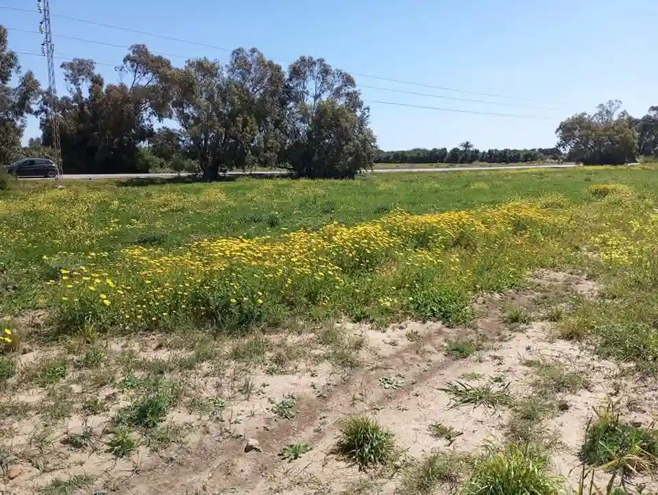 Calme et Nature à El Haouaria - Vue 1