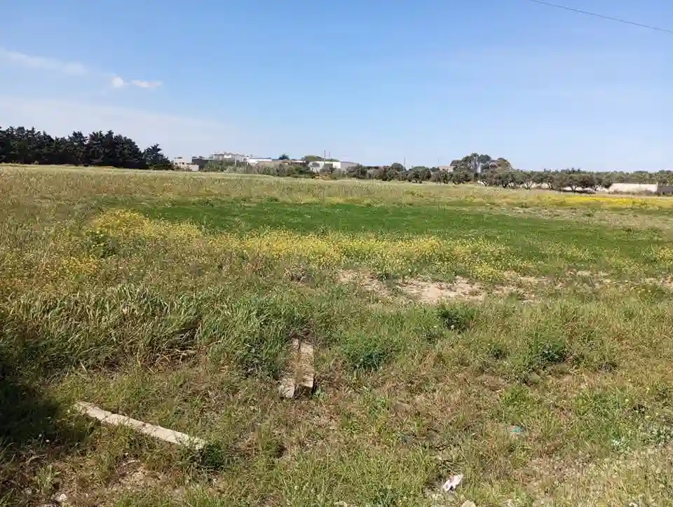 Calme et Nature à El Haouaria - Vue 2