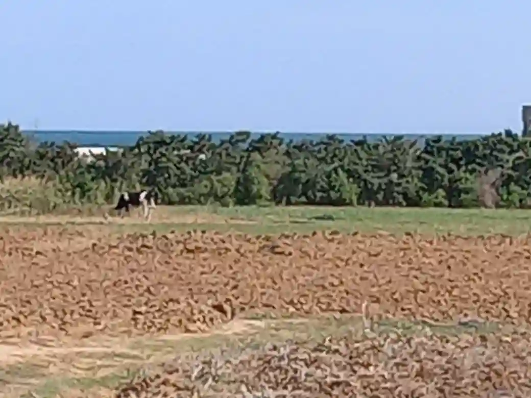 فرصة استثمارية 🤑🤑 - Vue 1